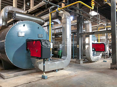 gas fired thermal fluid heater